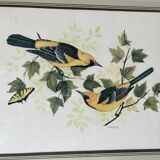 Table: Antique engraving by F Massa