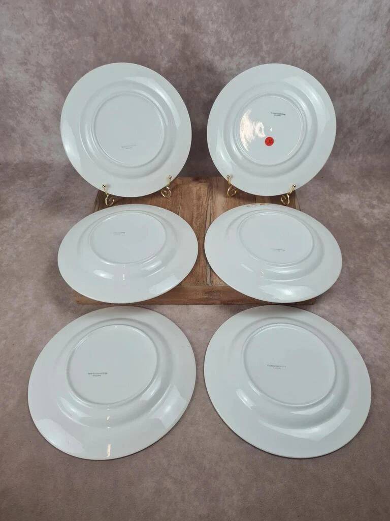 Set of 6 semi-deep plates Sarreguemines
