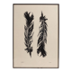 Tirage d'art Plumes Noires 50x70 par  Eawy