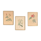 Lot de 3 reproductions encadrées de Redouté