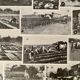 Lithographie sur les légumes et plantes potagères - 1920