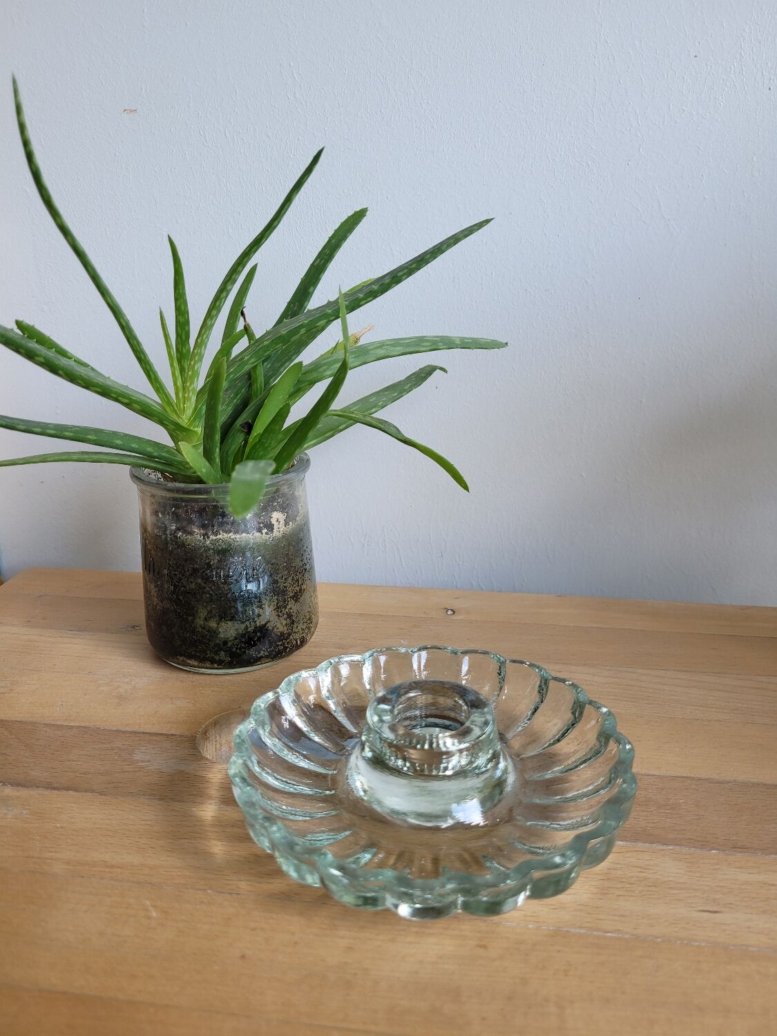 Marguerite glass candle holder