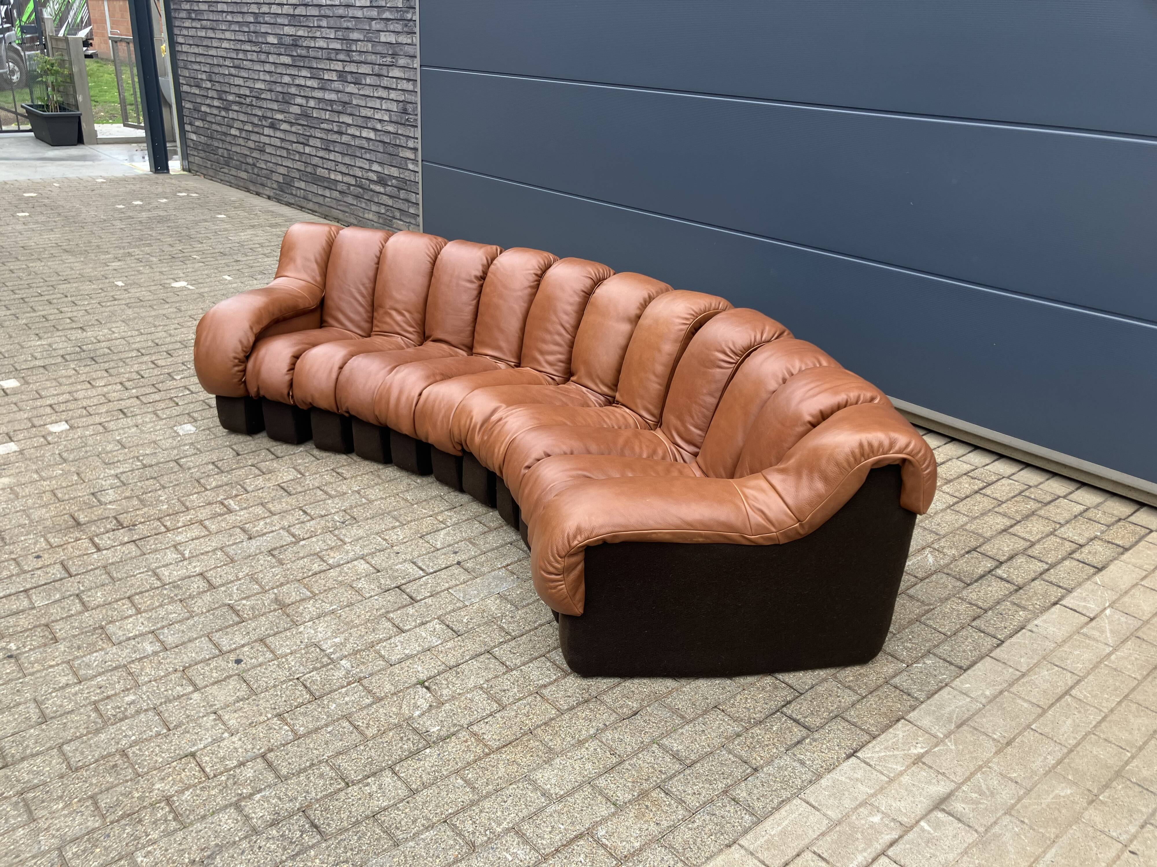 De Sede Ds600 Snake Tatzelwurm, 12 elements. New!