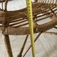 Vintage rattan shell chairs