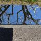 Mirror glass coffee table