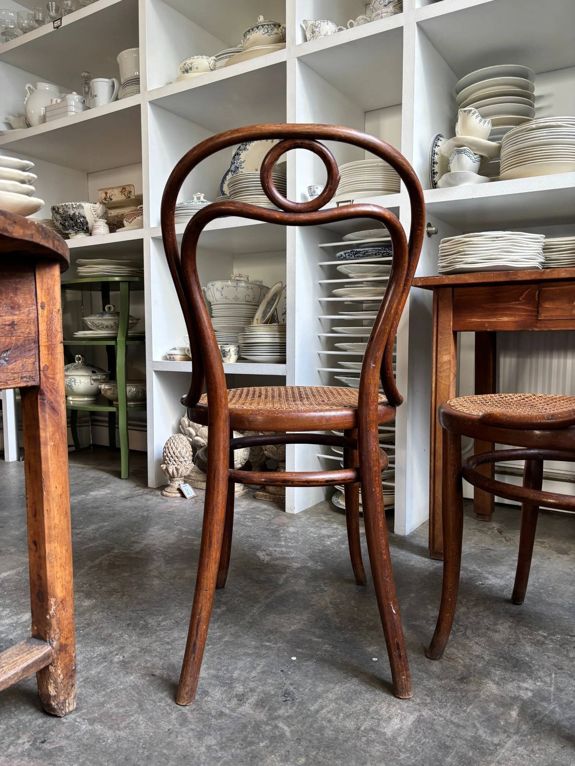 2 Thonet chairs no. 31 in bent beech and caning