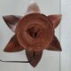 Lotus palm shell bedside table lamp