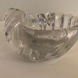 Empty crystal pocket in the shape of a shell