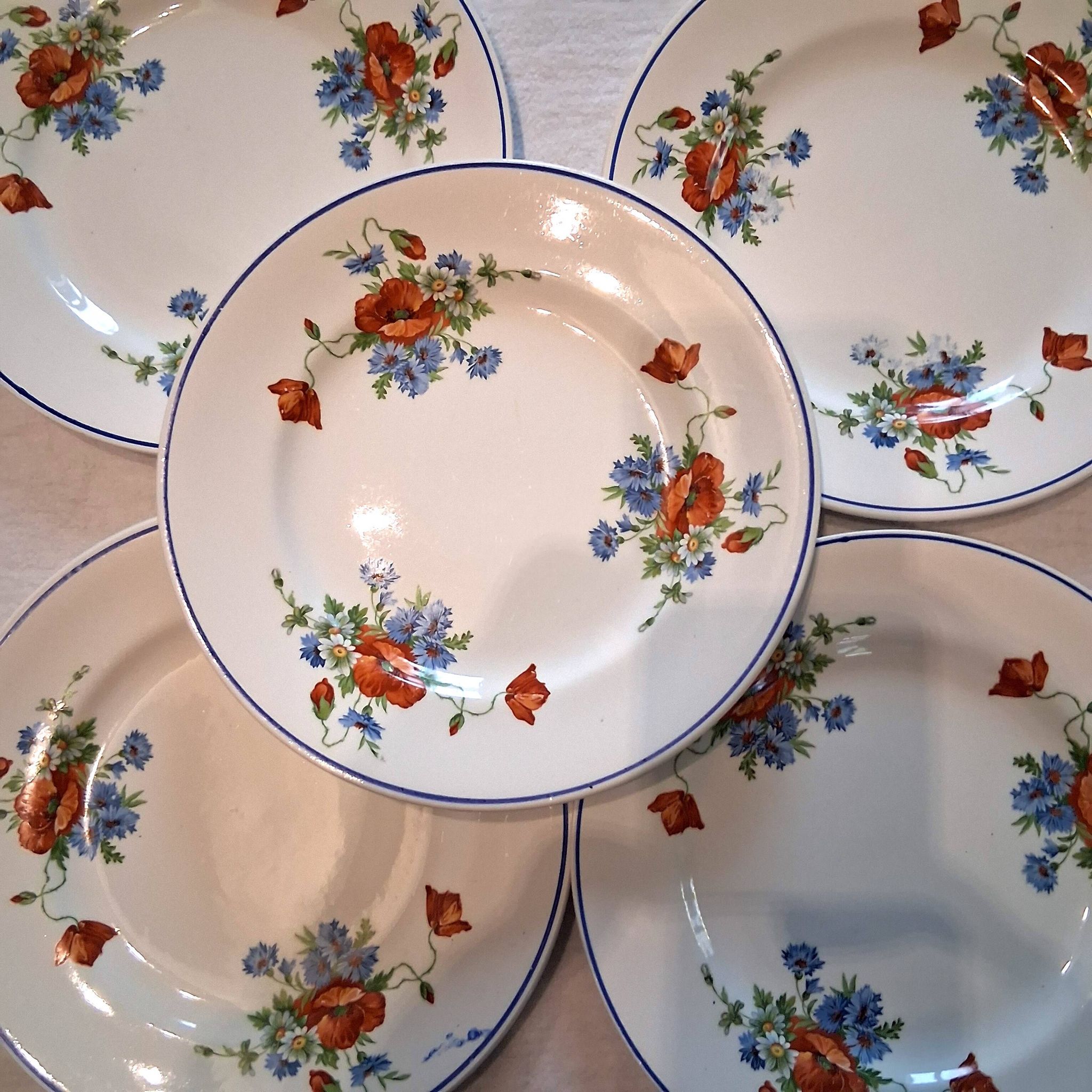 Set of 5 plates from Salins les Bains model "Poppies" in good condition.