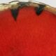 Ceramic cup by Gilbert Portanier, Vallauris 1950s