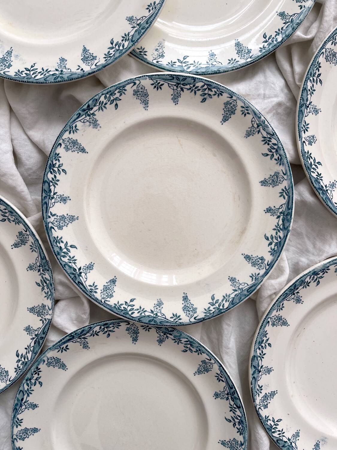 12 ironstone dinner plates “Florence” Longwy