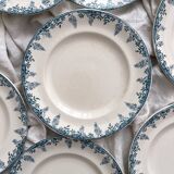 12 ironstone dinner plates “Florence” Longwy