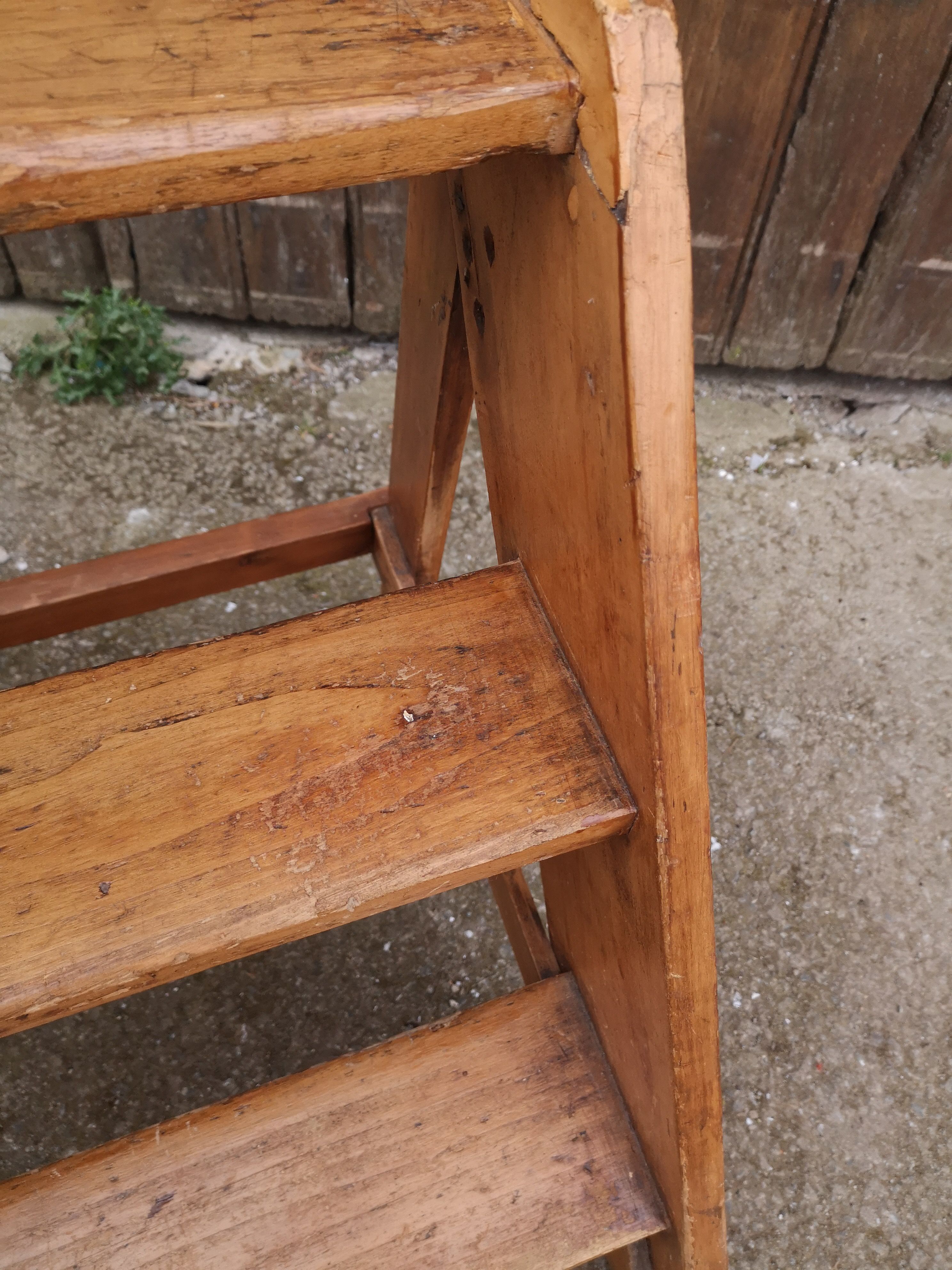 Library ladder said giraffe