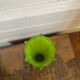 Green vase from the 50s