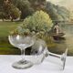 2 antique champagne glasses in engraved glass