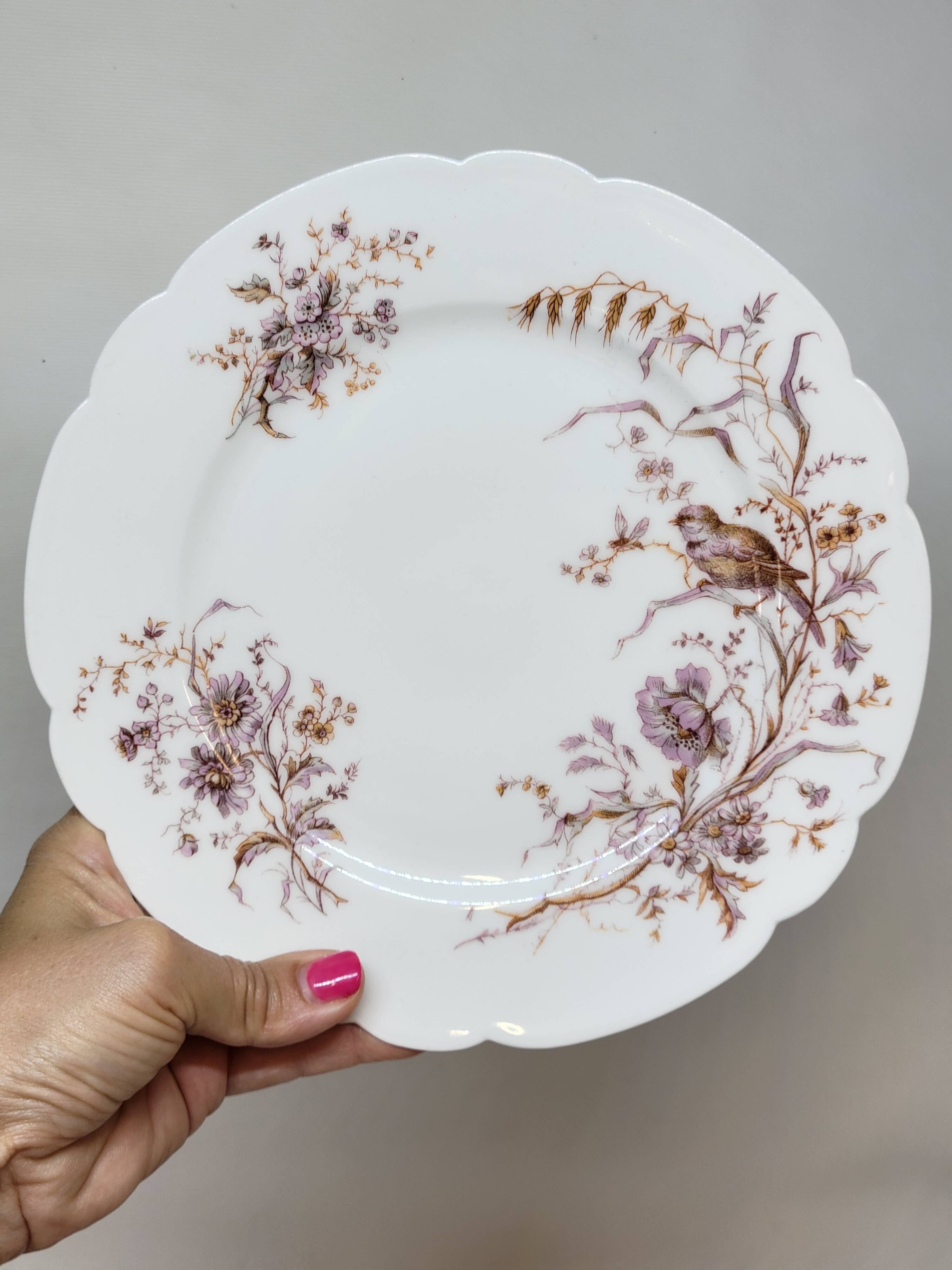 8 Superb Antique 19th Century Plates Decorated with Birds on Branches