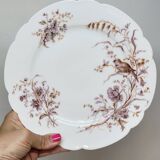 8 Superb Antique 19th Century Plates Decorated with Birds on Branches