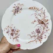 8 Superbes Assiettes Anciennes XIXème Décor Aux Oiseaux Sur Des Branches