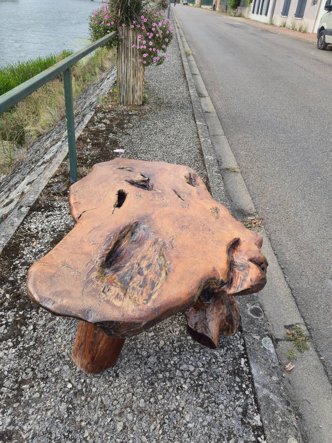 Brutalist coffee table made from solid elm tree trunk, 1950s