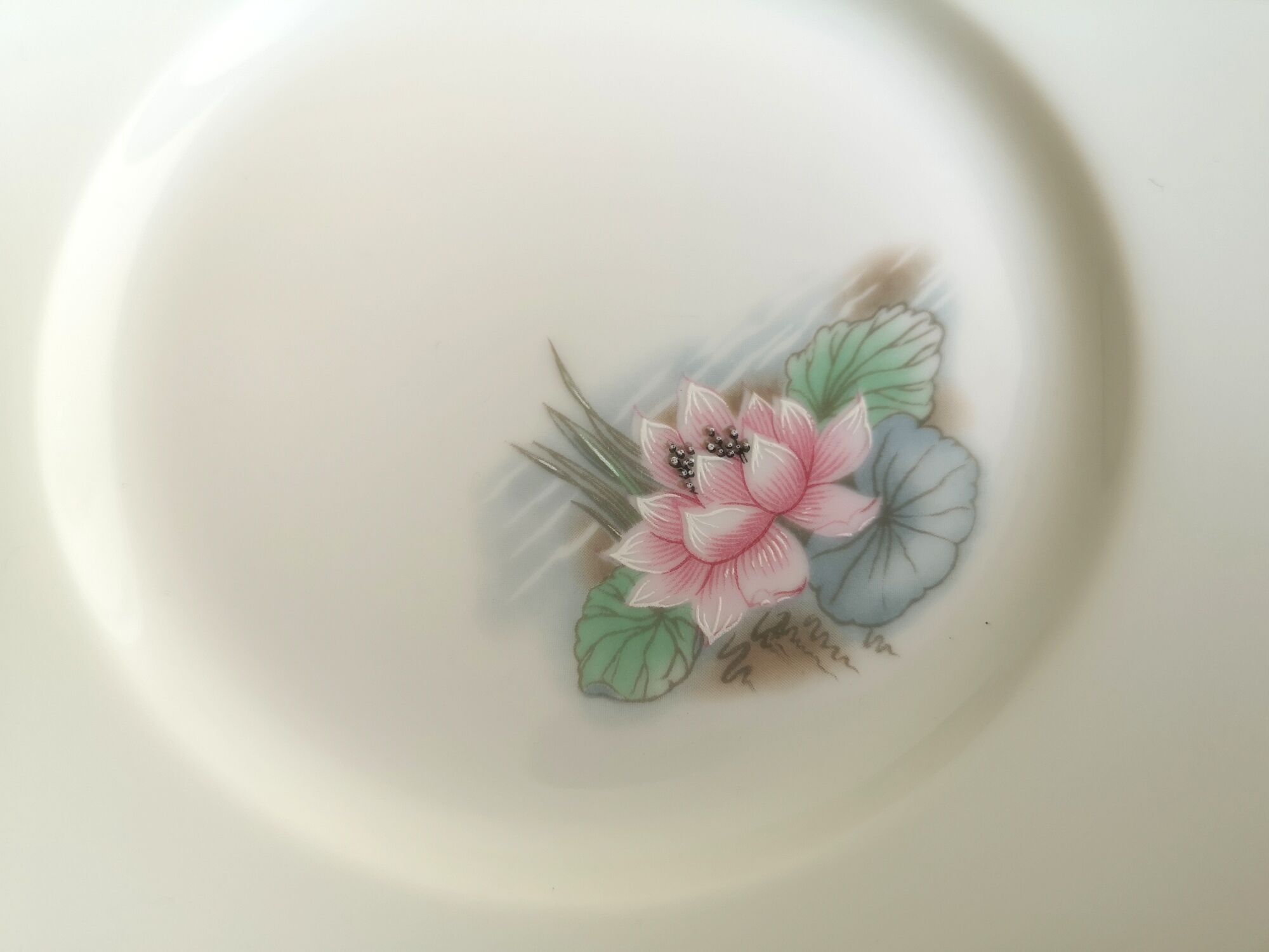 6 small plates signed Limoges France with nenuphar decor and golden border