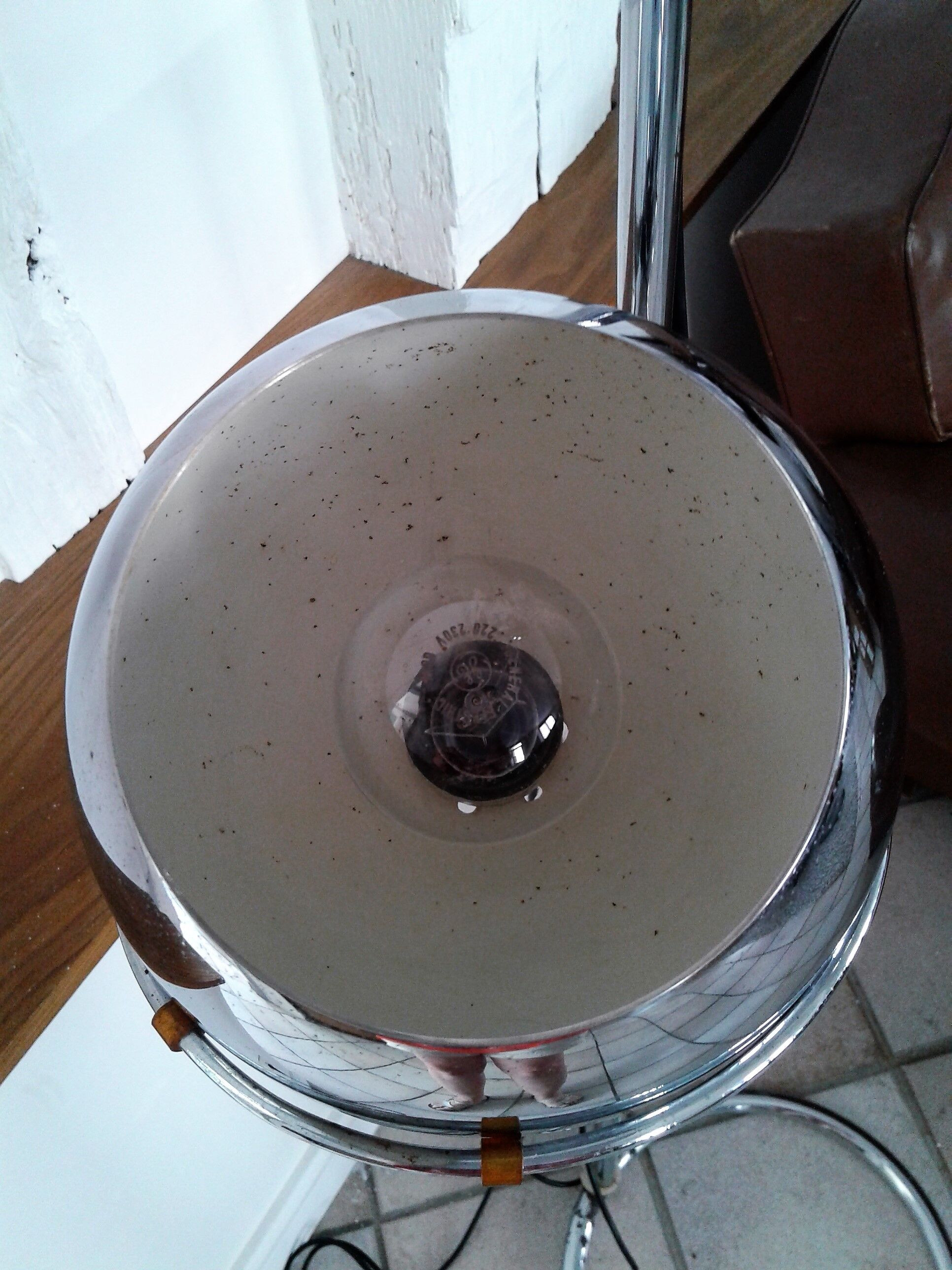 Floor lamp Reggiani "eyeball" chrome