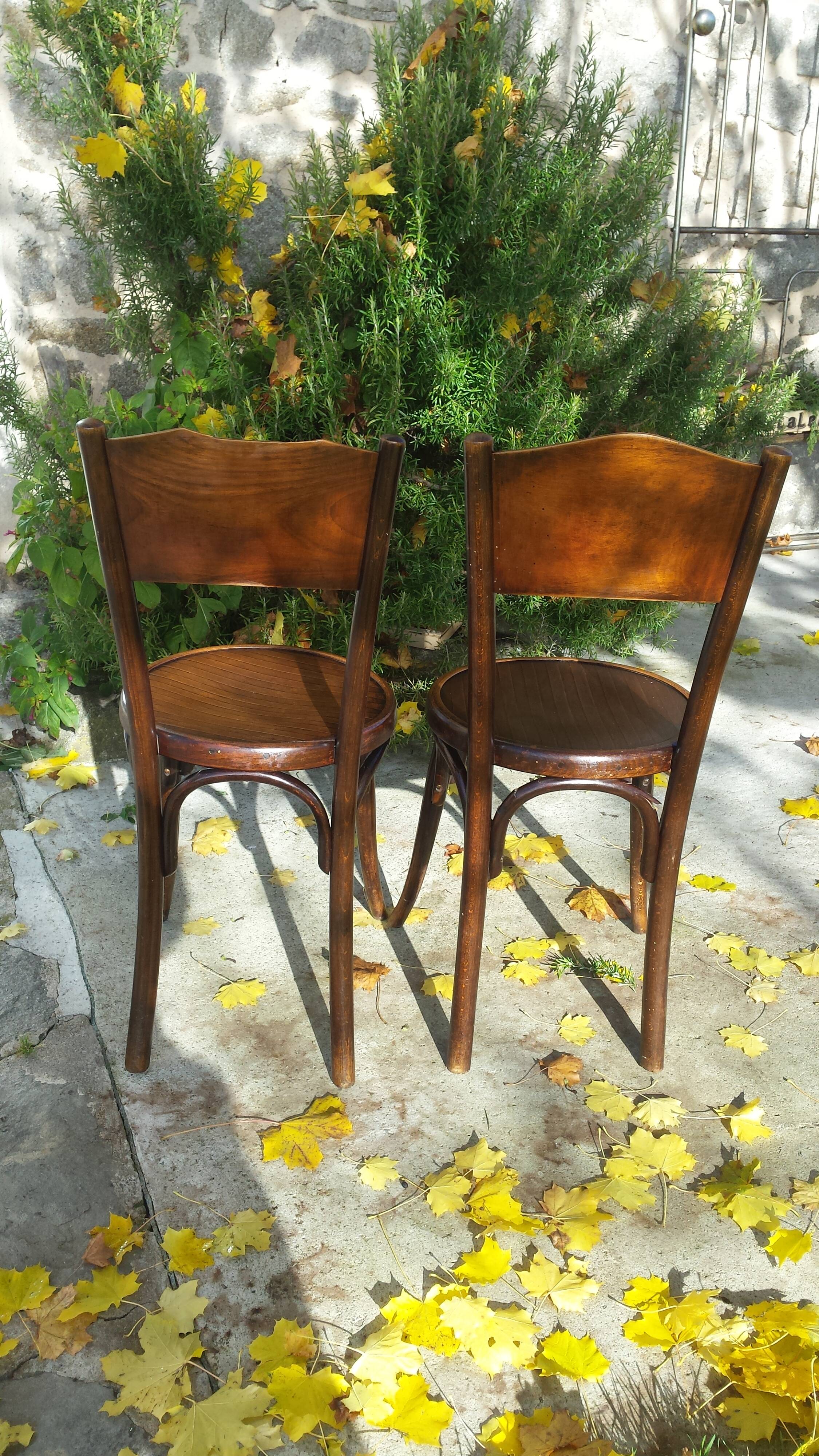Fischel chairs