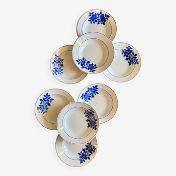 Set of 8 vintage soup plates decorated with blue flowers