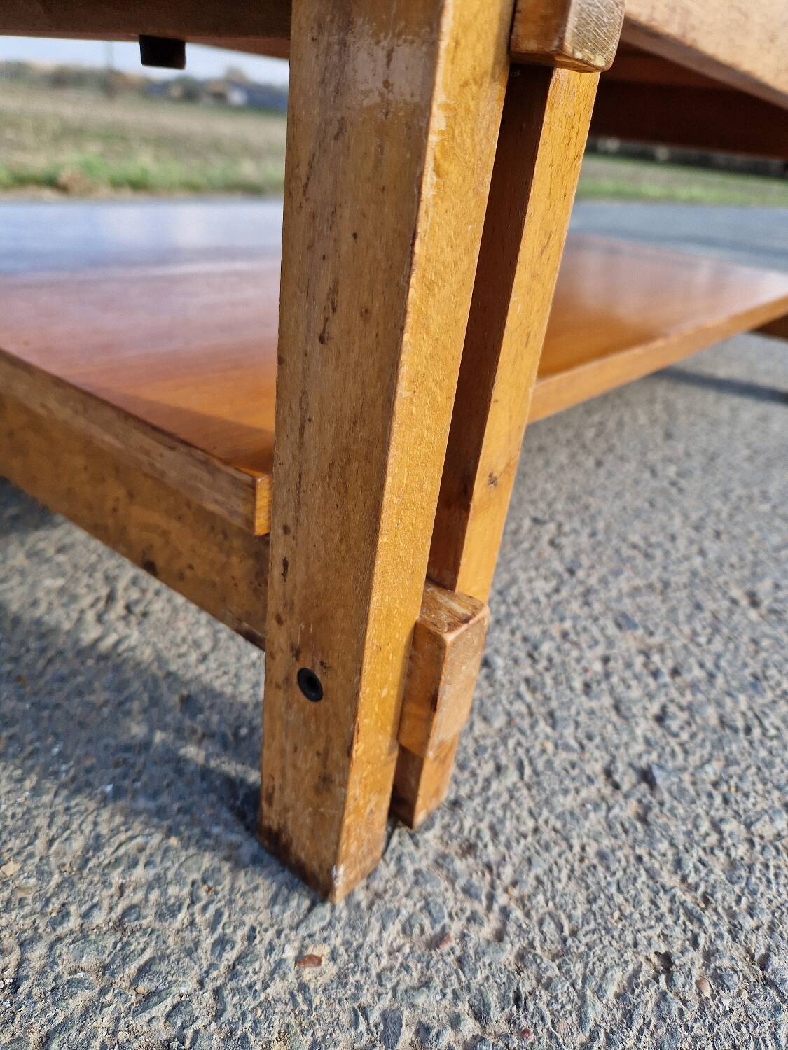 Vintage coffee table by Roger Capron, herbarium model