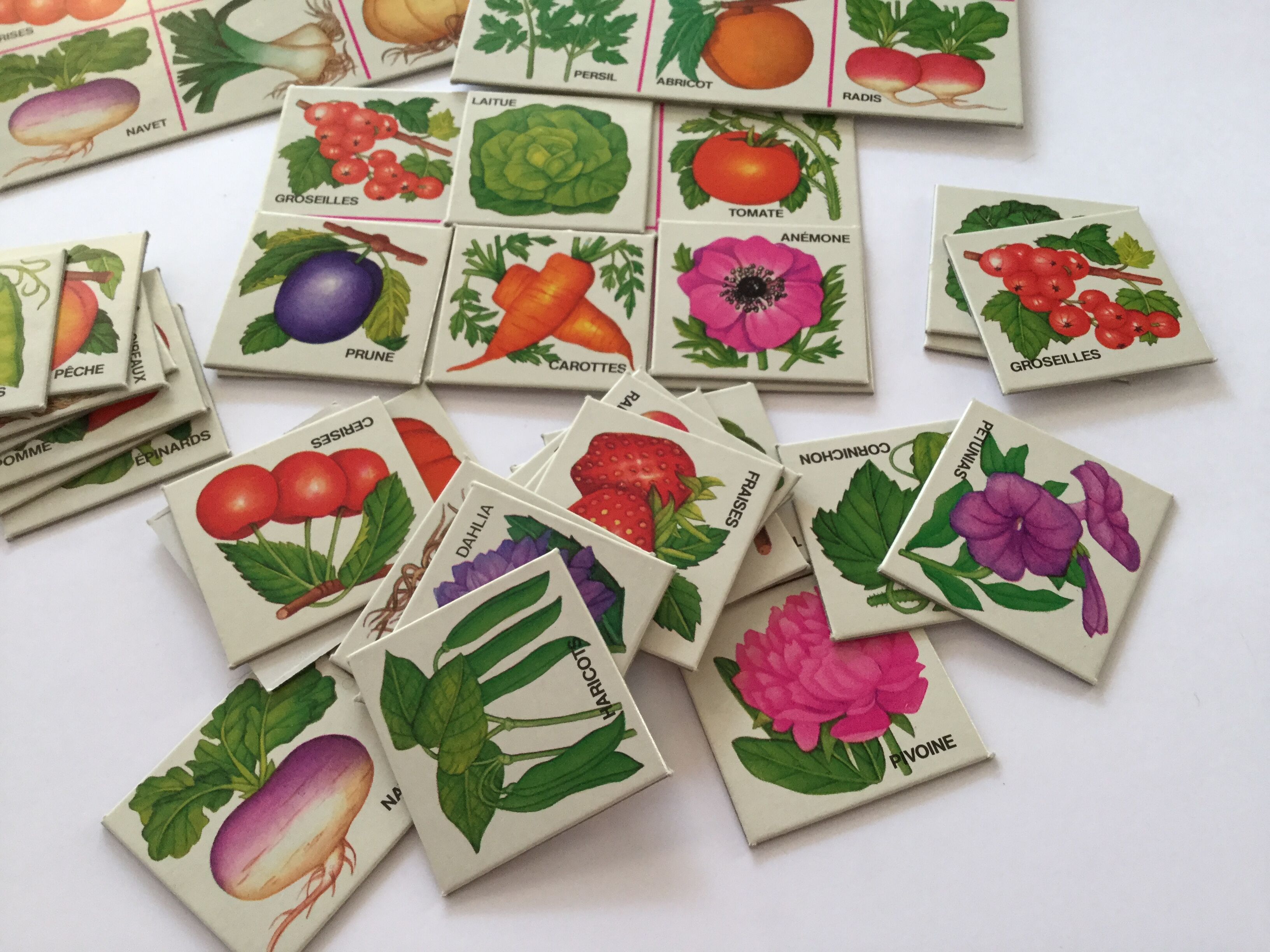 Lotto In the garden - card game