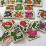 Lotto In the garden - card game