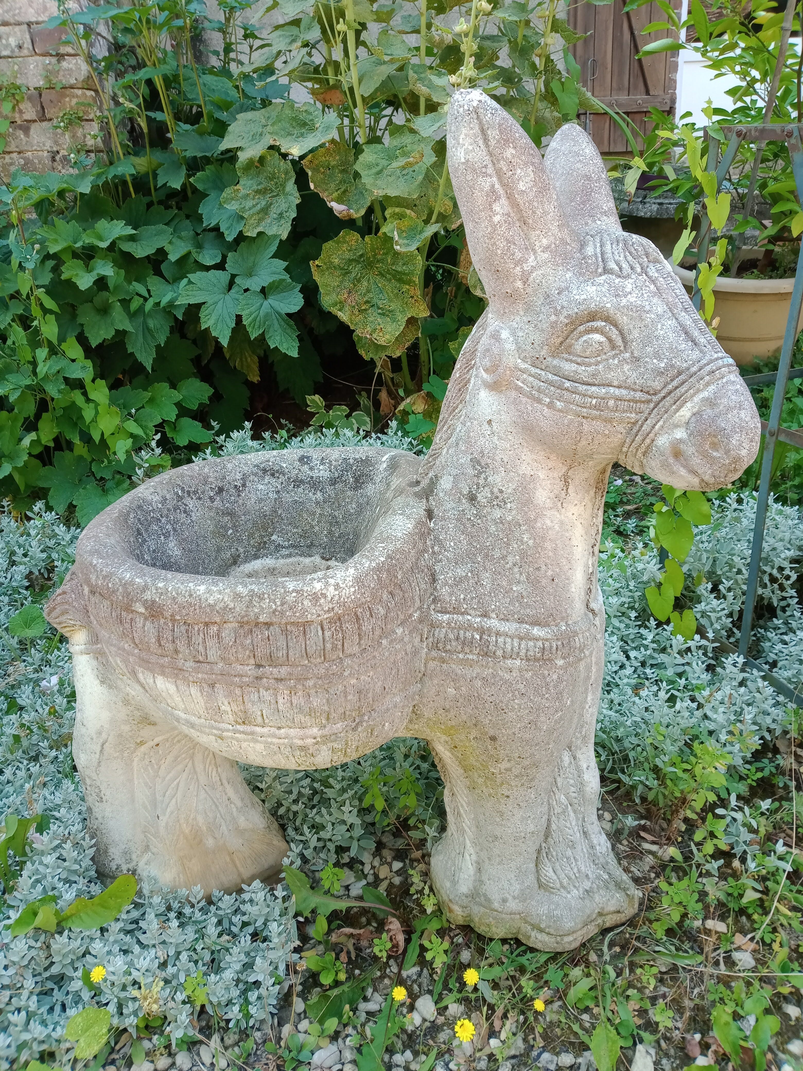 Cement donkey planter