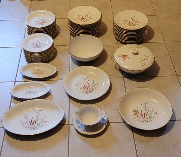 Table service 53 pieces in porcelain
