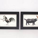 Set of 2 framed chimera lithograph animal engraving