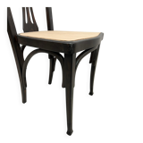 Set of 6 dining chairs no.319 by J&J Kohn