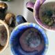 Tasses et soucoupes Morvan en céramique émaillée polychrome