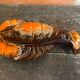 Vintage Polychrome Ceramic Lobster from VALLAURIS, France #D856