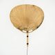 Pair of wall sconces "Uchiwa" by Ingo Maurer for M Design, 1960s