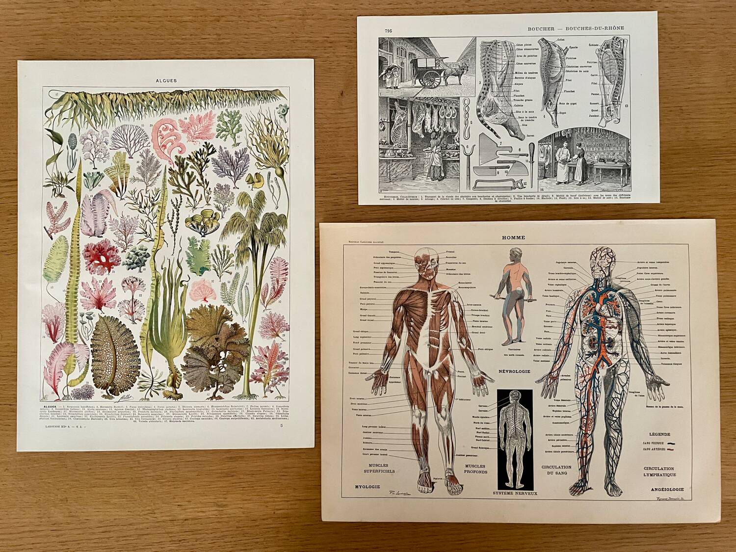 Lot of 3 20th century lithos