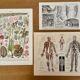 Lot de 3 lithos XXE