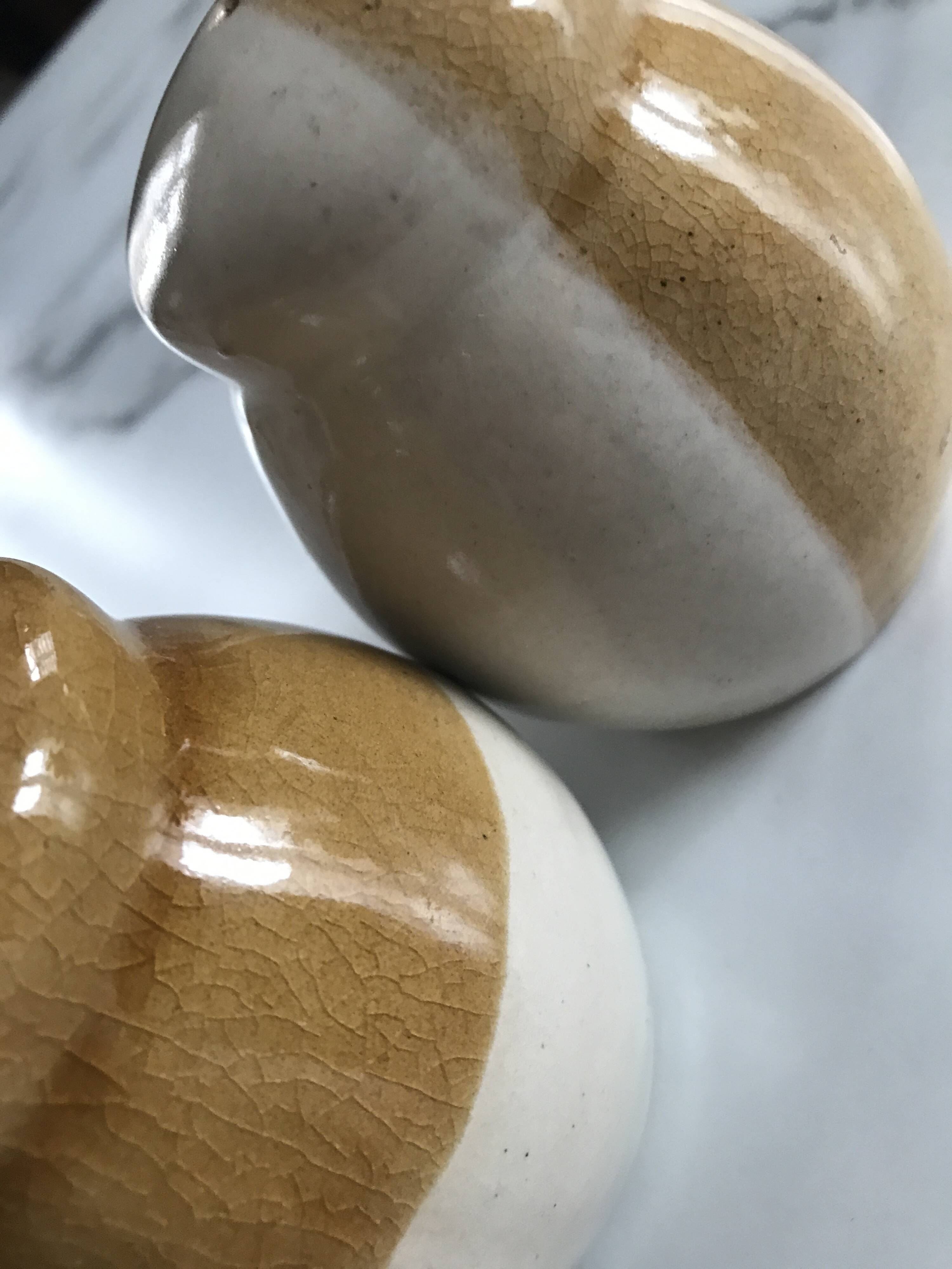 Ceramic salt and pepper shaker set