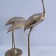Couple of solid brass cranes from the 80s H. 48 cm
