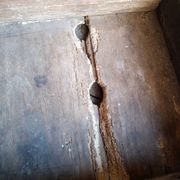 Table de ferme basse