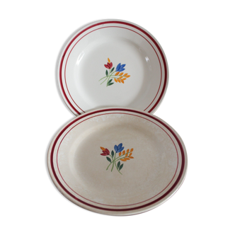 Assiettes plates Jeannette