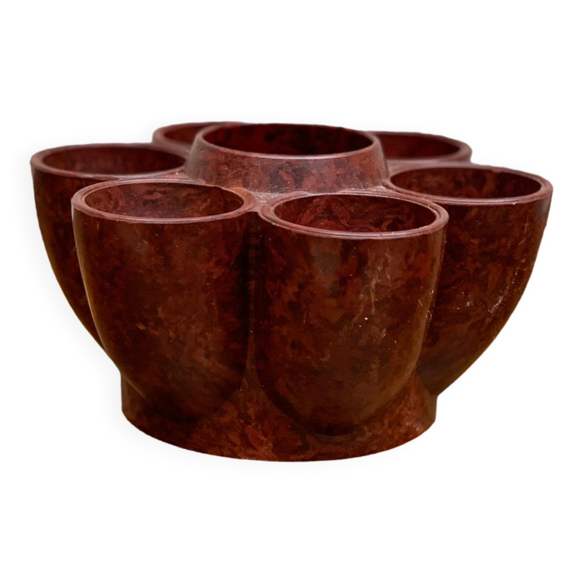 Cockroach in bakelite