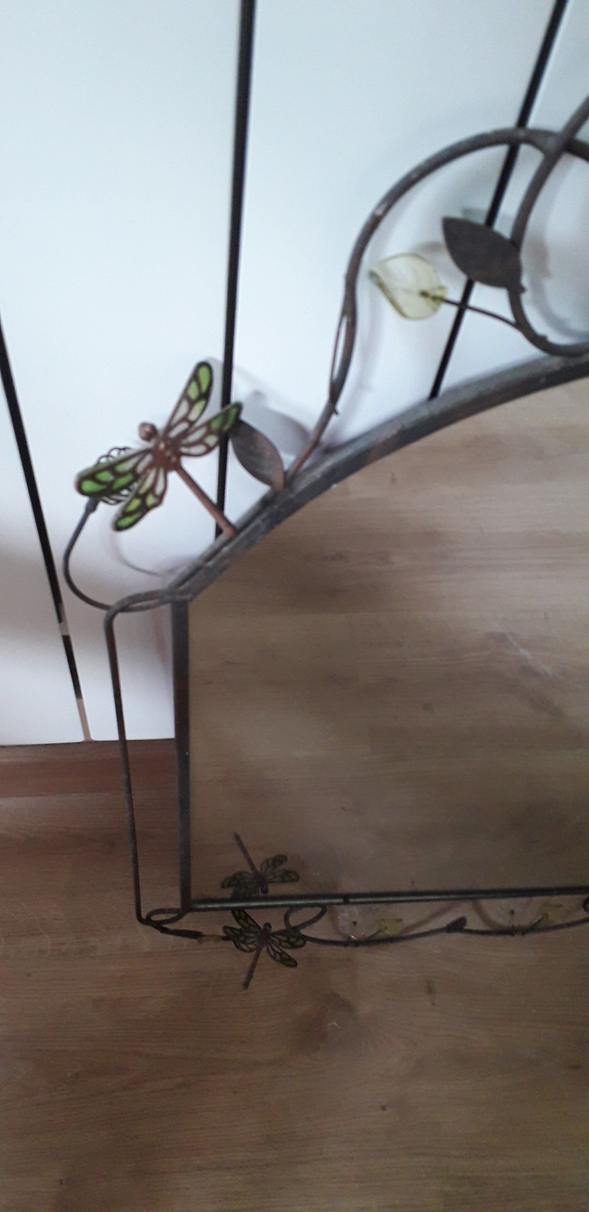 Mirror of shape with flower and dragonfly patterns