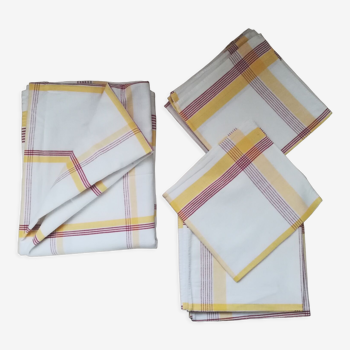 Tablecloth 220x150 and 10 towels