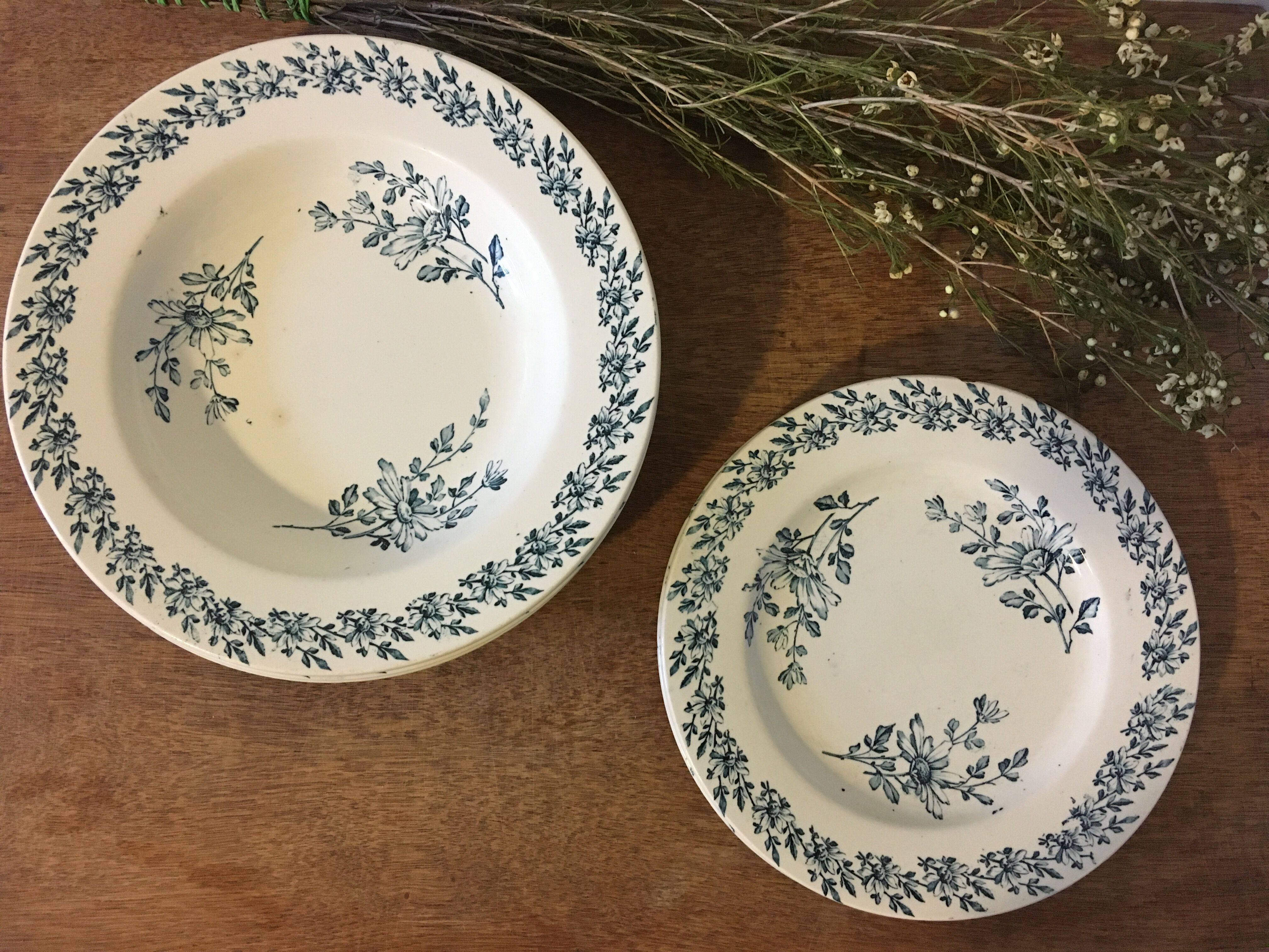 Lot of 5 plates Lunéville model Pâquerette