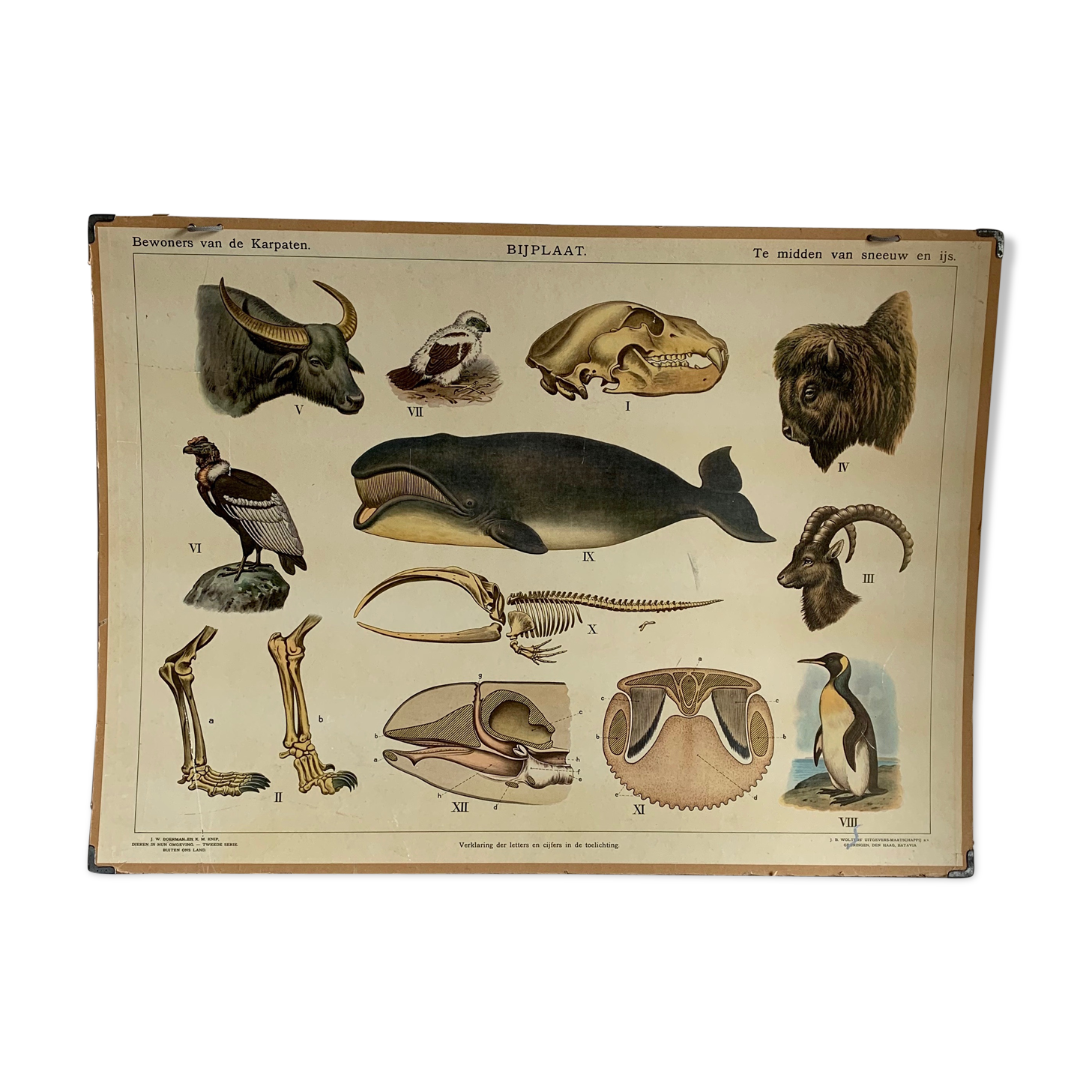 Affiche éducative années 1950