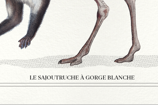 Set of 2 framed chimera lithography animal engraving