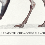 Set of 2 framed chimera lithography animal engraving